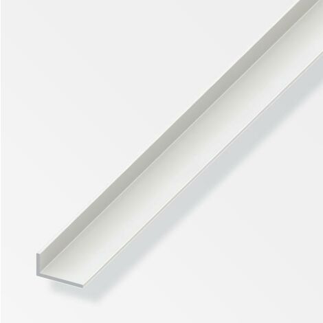 angolare 40x15x1,5 allu arg 1m