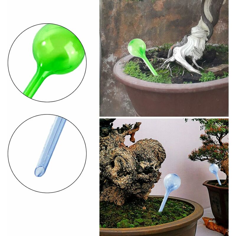 Boules d'irrigation pour plantes en plastique, arrosage automatique des  plantes d'intérieur, distributeur d'eau d'argile, cônes d'argile, arrosage  en