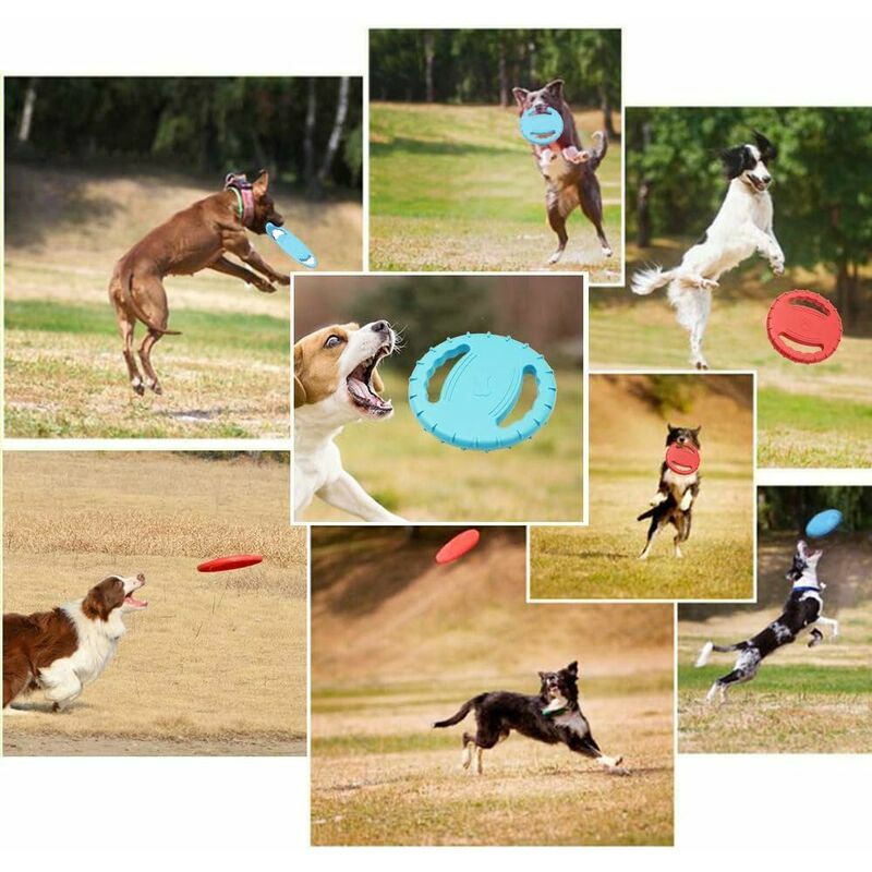 GDRHVFD 7 Pièces Pet Soucoupe Volante, Frisbee Pour Chien En