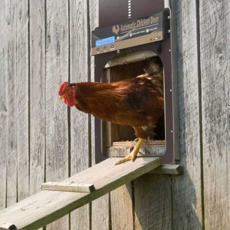 Ouvre-porte Automatique Pour Poulailler – Minuterie, Télécommande, étanche IP65, Piles Ou Solaire - 10