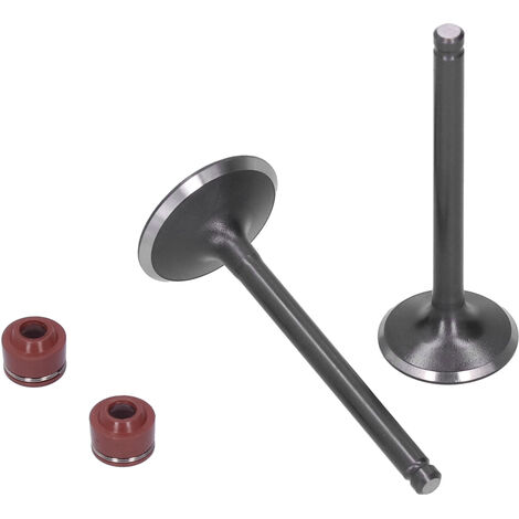 Jeffergarden Kit de soupape d'admission d'échappement, joints de vapeur de soupape d'échappement d'admission de tête de moteur pour moteur YINXIANG YX 140cc PIT PRO PIT Bike Trail Dirt Bike Thumpstar  (1/5)