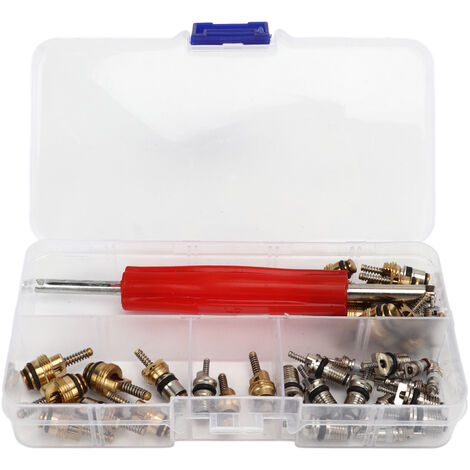 Jeffergarden Kit de noyau de Valve principale AC, 41 pièces, avec outil de démontage, noyaux de Valve de réfrigération automobile R12 R134a pour la plupart des voitures (1/5)