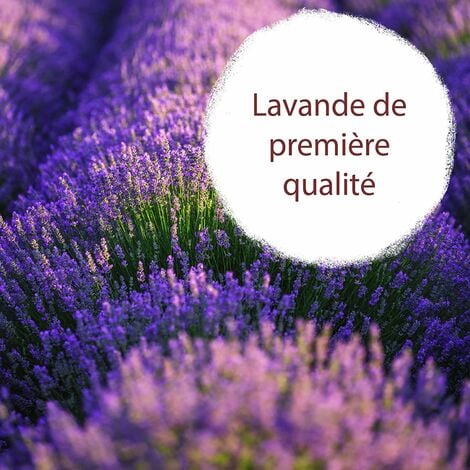 Sachets parfumés Lavande: 20 sachets Senteur pour Armoire, Linge