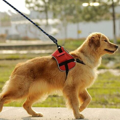 Ensemble de laisse de harnais pour chien de compagnie Poignée rembourrée en  mousse confortable Corde d'escalade en coton tissé Laisse de chien Harnais  réglable pour petit chien moyen (taille s) 