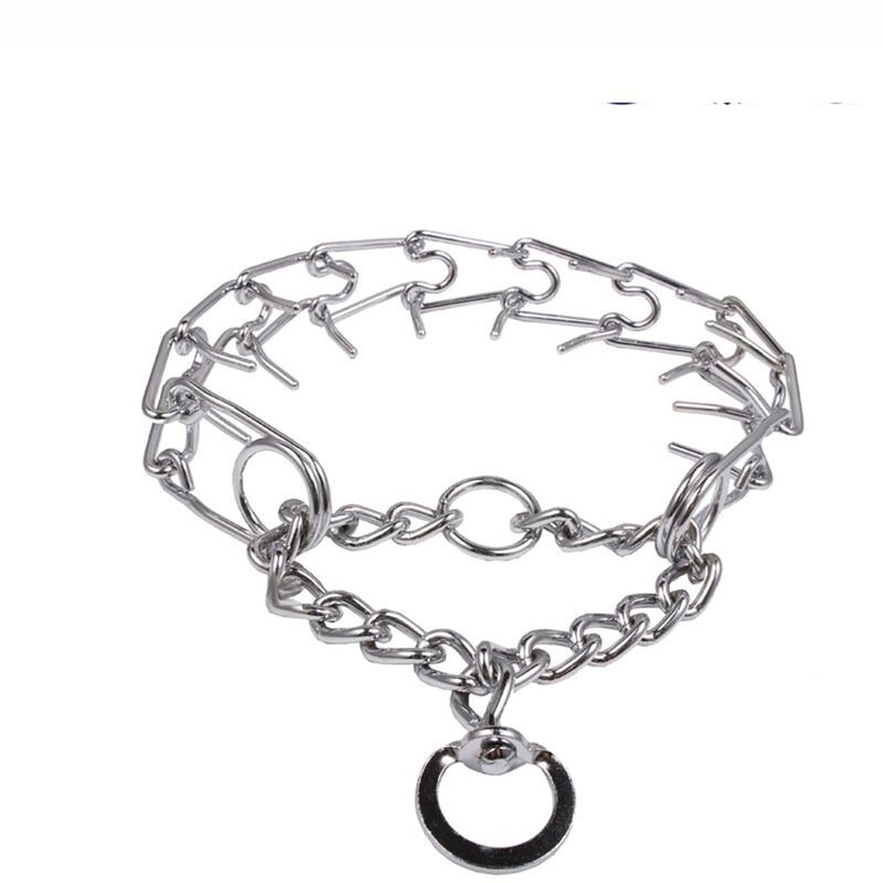 Hundehalsband, Metall, mit sicherer Schnalle, Robust, Kaufest, für Kleine Hunde (19 mm, 30,5 cm)