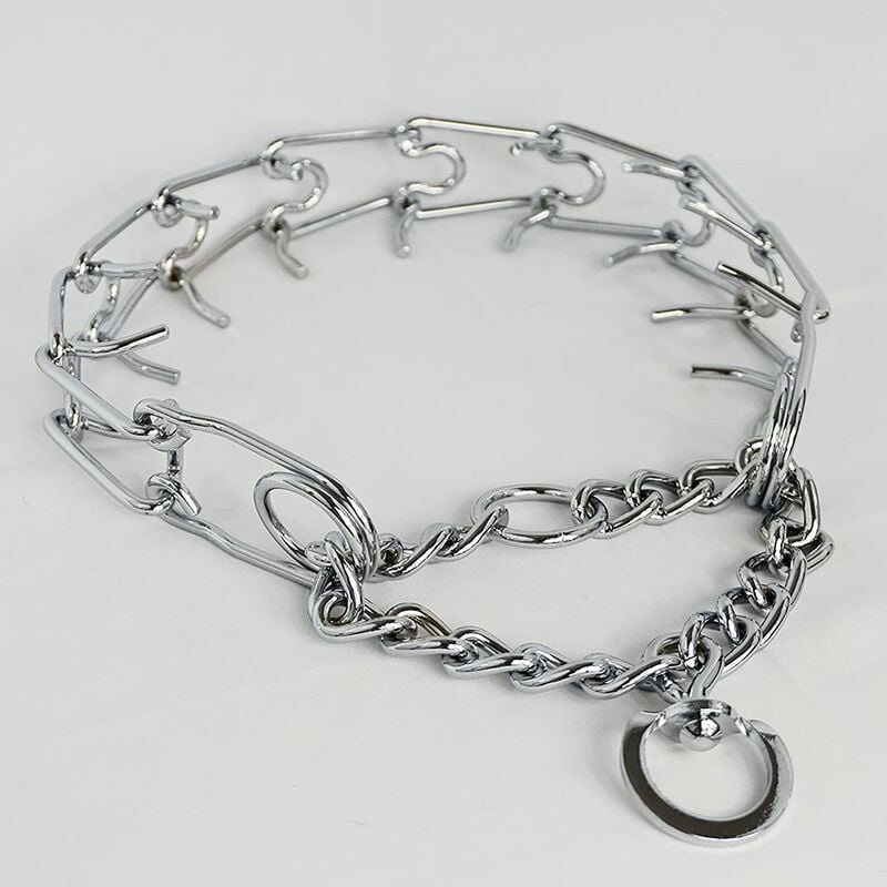 Hundehalsband, Metall, mit sicherer Schnalle, Robust, Kaufest, für Kleine Hunde (19 mm, 30,5 cm)