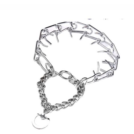 Hundehalsband, Metall, mit sicherer Schnalle, Robust, Kaufest, für Kleine Hunde (19 mm, 30,5 cm)