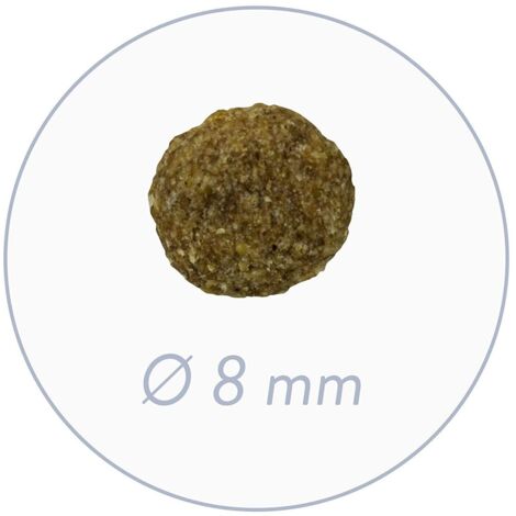 Bosch Mini Senior 2,5 kg (1/5)