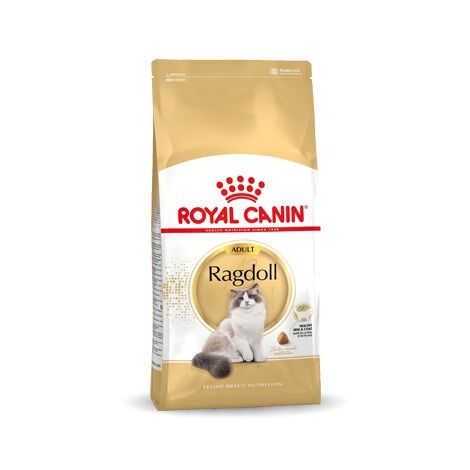 Royal Canin Ragdoll Adult nourriture pour chat 2 kg (1/5)