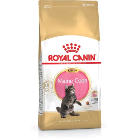 Royal Canin – Croquettes pour chat Maine Coon Kitten volaille et riz 400 g – Protéines 36 % – Croissance optimale pour chatons – Sans colorants artificiels (1/5)