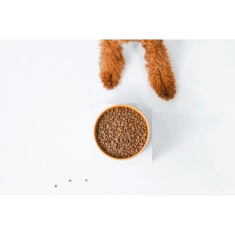 NATURE'S PROTECTION Superior Care Red Coat Adulte Petite race Sans céréales Saumon - croquettes - 10 kg (1/3)