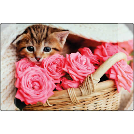 Kangaro K-0014D118 Buro-onderlegger PP 38x58cm Chaton (1/3)