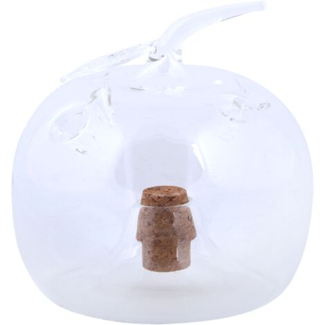 Essschert Design Fruitvliegenval Appel 9,4x9,5 cm Transparent (1/5)