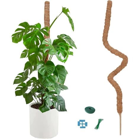2 pièces Tuteurs pour Plantes grimpantes de 30CM, Tiges de Fibre Coco  Mousse pour Plante Monstera Supports Naturel pour Plantes