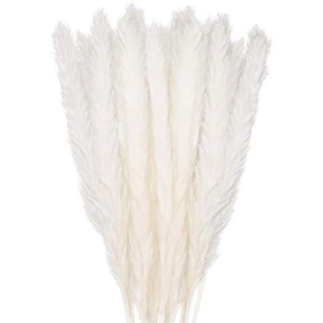 30 pcs Herbe de la Pampa, 58 cm Naturel Pampa Fleur Bouquet de Fleurs Sechees pour Vases, Blanc Boho Decoration Chambre Maison Salon, Mariage Photographier Table Décoration