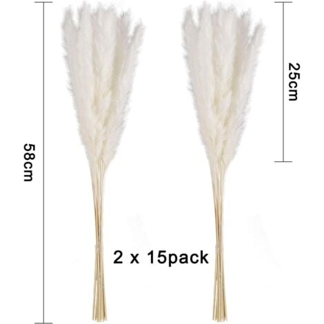 30 pcs Herbe de la Pampa, 58 cm Naturel Pampa Fleur Bouquet de Fleurs Sechees pour Vases, Blanc Boho Decoration Chambre Maison Salon, Mariage Photographier Table Décoration