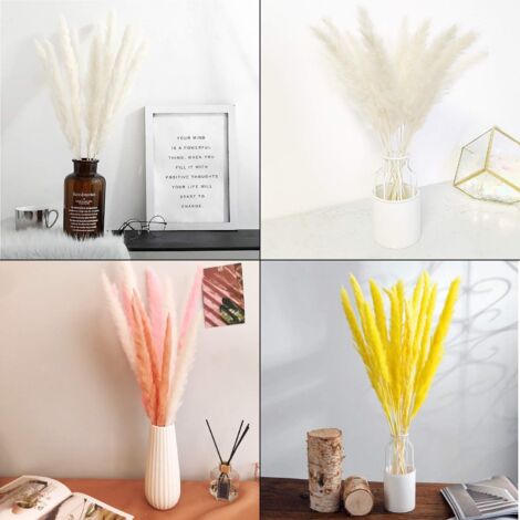 30 pcs Herbe de la Pampa, 58 cm Naturel Pampa Fleur Bouquet de Fleurs Sechees pour Vases, Blanc Boho Decoration Chambre Maison Salon, Mariage Photographier Table Décoration