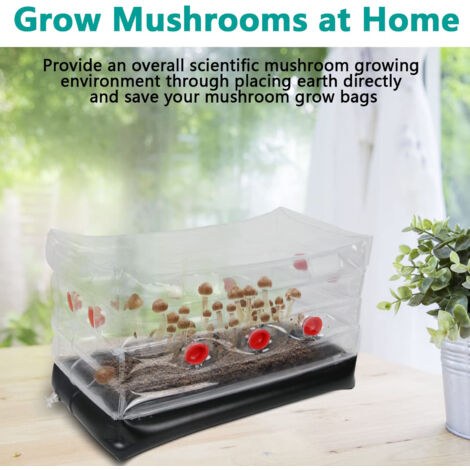 Kit Culture Champignons Intelligent Avec Tente - Contrôle Température/Humidité | Autonome, USB, Pour Shiitake Et Autres