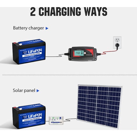 ECO-WORTHY Batterie au lithium 12V 30Ah LiFePO4 rechargeable avec cycle  profond de plus de 3000 fois et protection BMS pour systeme solaire,  bateau, kit de panneau solaire, camping-car, caravane