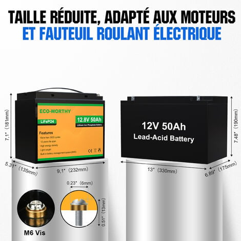 ECO-WORTHY Batterie au lithium 12V 50Ah LiFePO4 rechargeable avec