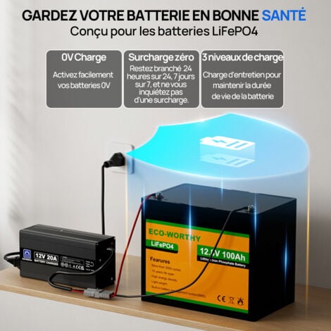 ECO-WORTHY 14.6V 20A Chargeur de batterie Lithium, Chargeur de batterie Lithium haute efficacité pour batteries Lithium de Fer 12V (12.8V)