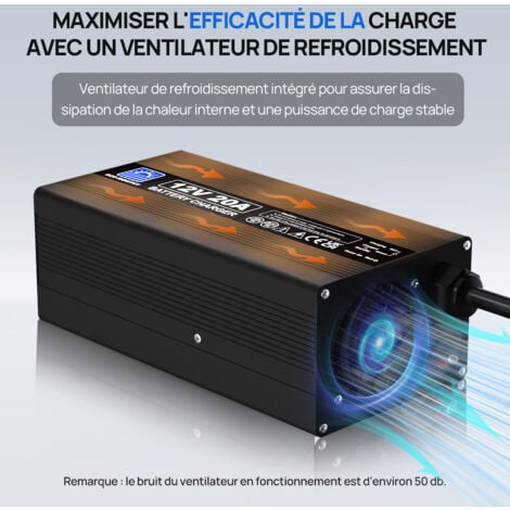 ECO-WORTHY 14.6V 20A Chargeur de batterie Lithium, Chargeur de batterie Lithium haute efficacité pour batteries Lithium de Fer 12V (12.8V)