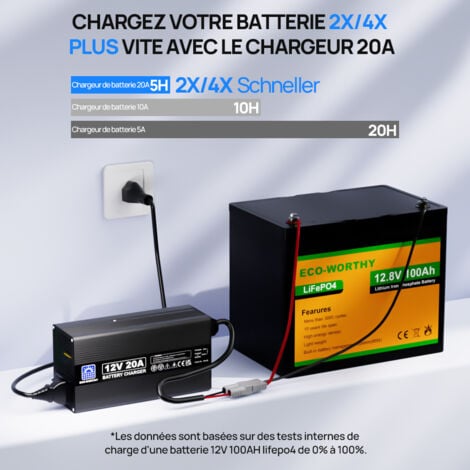 ECO-WORTHY 14.6V 20A Chargeur de batterie Lithium, Chargeur de batterie Lithium haute efficacité pour batteries Lithium de Fer 12V (12.8V)