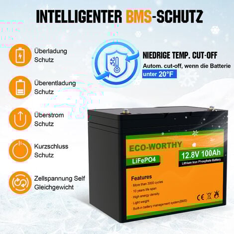 ECO-WORTHY Batterie Lithium 12V 100AH LiFePO4 + 10A 12V chargeur de batterie