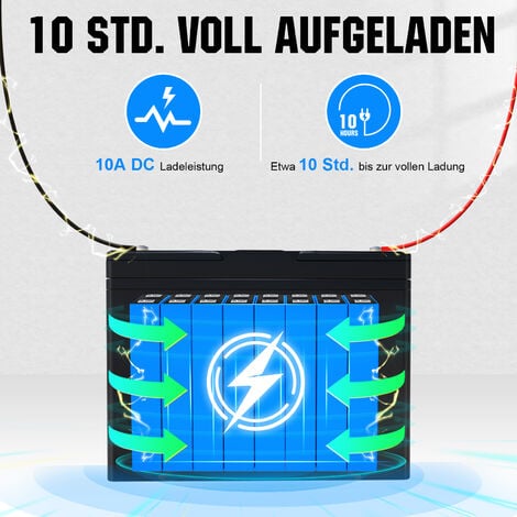 ECO-WORTHY Batterie Lithium 12V 100AH LiFePO4 + 10A 12V chargeur de batterie