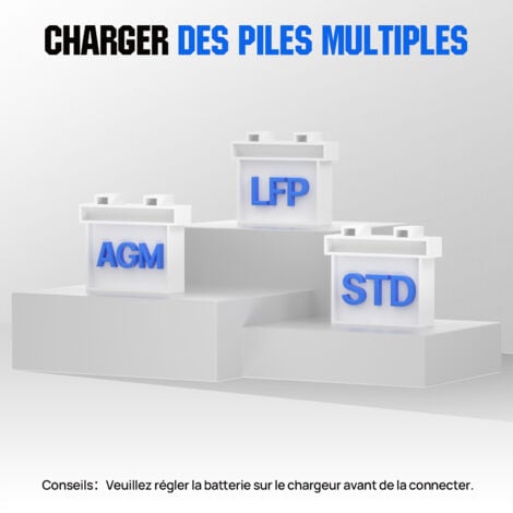ECO-WORTHY 12V/24V 20A Chargeur de batterie, chargeur de batterie intelligent automatique pour batterie lithium LiFePo4 12V/24V