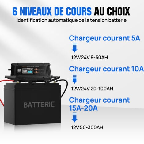 ECO-WORTHY 12V/24V 20A Chargeur de batterie, chargeur de batterie intelligent automatique pour batterie lithium LiFePo4 12V/24V