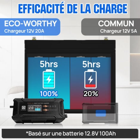 ECO-WORTHY 12V/24V 20A Chargeur de batterie, chargeur de batterie intelligent automatique pour batterie lithium LiFePo4 12V/24V