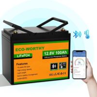 Eco-Worthy – Batterie lithium 12V 100Ah LiFePO4 Bluetooth – Cycle profond 3000+ – Protection BMS – Système solaire, bateau, caravane