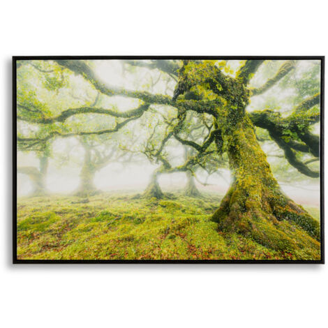 Gadget Natalizi: Stampa su tela 30x40