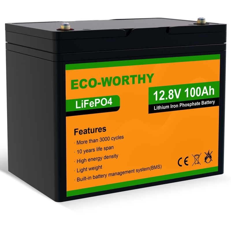 ECO-WORTHY 100Ah 12V LiFePO4 Battery Emergency Power Backup Rechargeable  Lithium Iron Phosphate with 3000+ Deep Cycles and BMS Protection, Perfect  for rv, Boat, Marine, Solar Panel System