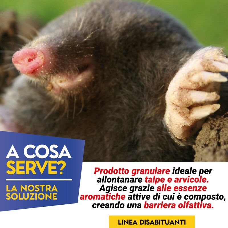 Repellente Disabituante Piccioni Pipistrelli e Volatili In Cubetti