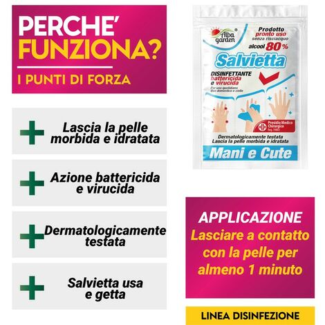 Salviette per Mani Disinfettanti Alcool 80% Elimina Batteri Virus  Dermatologicamente Testata x 30 Pz