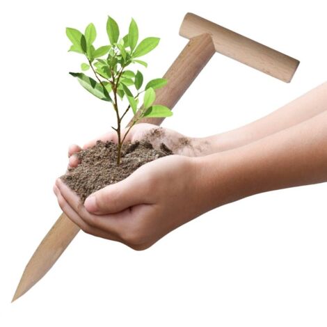 Piantatore per Orto Giardino in Legno Naturale Foraterra o Trapiantatore Manuale Per Piantine Resistente Leggero 44 x 13 x 3 cm