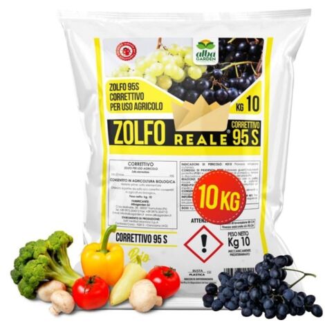 Zolfo per Uso Agricolo Consentito in Agricoltura Biologica Zolfo Elementare Correttivo 95 S x 10 kg