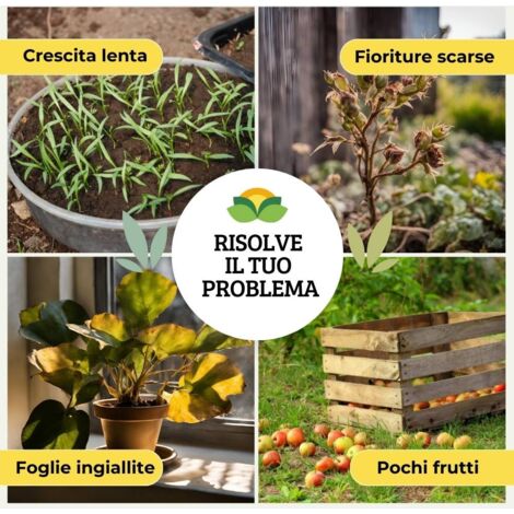 Concime Rinverdente Express Per Cycas E Palme - Agrida Contro Foglie Gialle - Effetto Rapido 1Kg - Foto 7