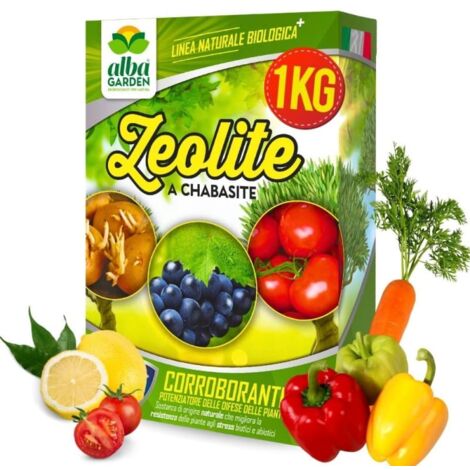 Zeolite a Chabasite Corroborante per Agricoltura Biologica Protezione Naturale da Insetti, Funghi Acari Polvere x 1 kg (1/5)