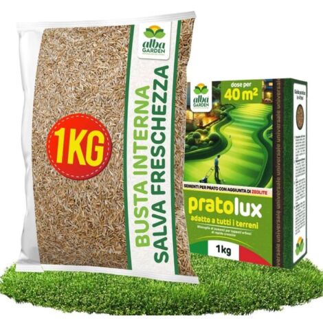 Semi Prato Universale Resistente a Zone Ombreggiate e Soleggiate - Sementi Erba per Tappeti Erbosi Inverno Estate - Calpestabile - Rapida Crescita per ogni tipo di Terreno per 40m² x 1 Kg