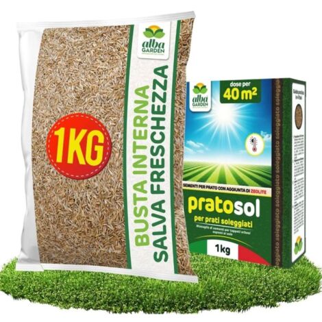 Semi Prato Resistente Alla Siccità - Sementi Erba per Tappeti Erbosi per Zone Soleggiate - Calpestabile - Rapida Crescita per ogni tipo di Terreno per 40 m² x 1 Kg