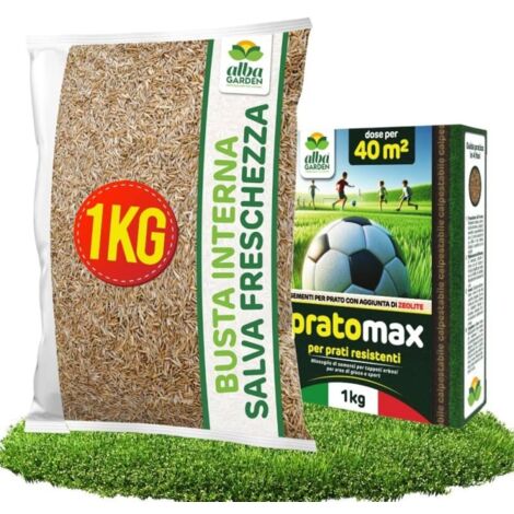 Semi Prato Resistente Al Calpestio - Sementi Erba per Tappeti Erbosi per Aree Gioco - Super Calpestabile - Rapida Crescita per ogni Tipo di Terreno e Giardino per 40m² x 1 Kg