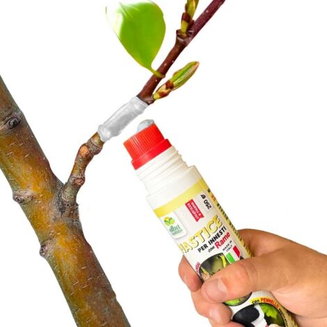 Mastice Per Innesti e Potature con Rame, Antibatterico Pasta Cicatrizzante Curativa Per Ferite Piante Alberi Arbusti Bonsai Pronto Uso con Pennello Applicatore x 250 g