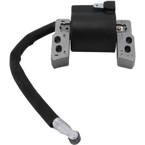 SJLERST Bobine D'allumage Outil De Jardin Accessoire Bobine D'allumage Remplacement Outil De Jardin Accessoire 695711 802574 493237 796964 492416 (1/5)