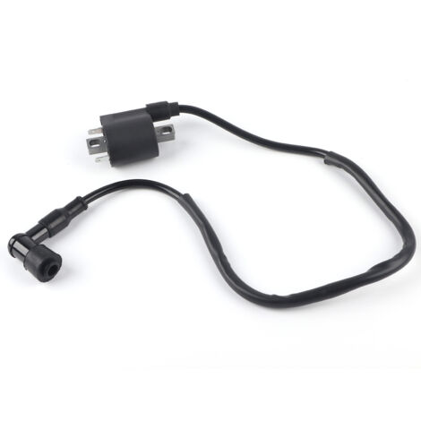 Bobine d'allumage de moto à 2 broches pour CBF125 CBR125 CR125 CR250 (1/5)