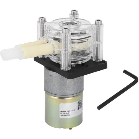 Pompe péristaltique Cadre de roue en acier inoxydable auto-amorçant Moteur à courant continu à tête transparente PC (24 V) (1/5)