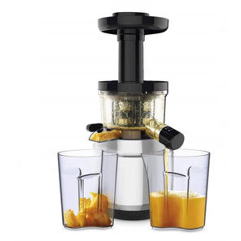 Moulinex ZU420E10 extracteur de jus aluminium noir