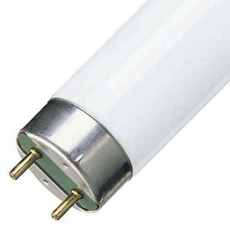 Philips TL-D Super 30W Sockel G13 6500K dimmbar Tageslicht